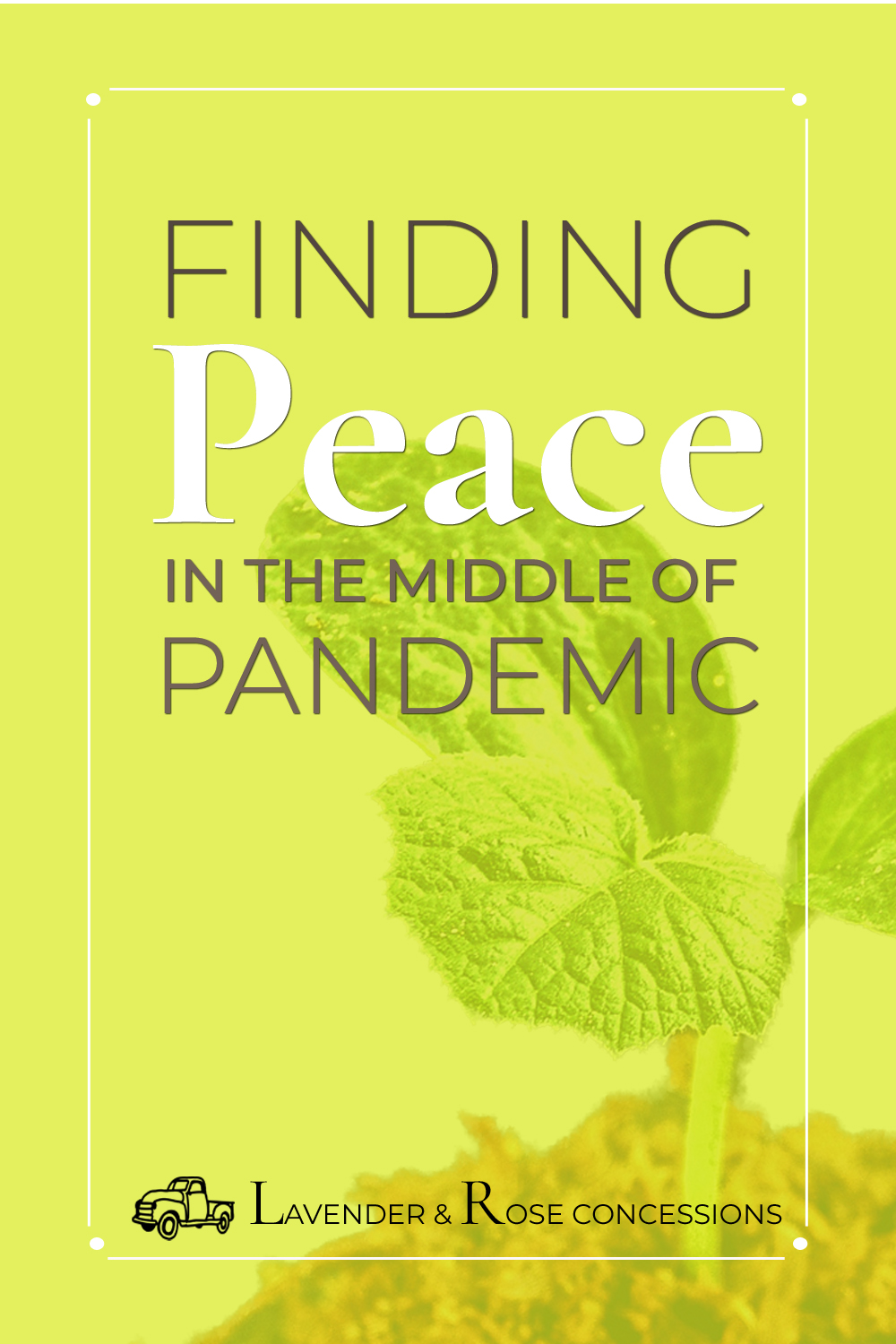 Finding peace in time of pandemic, basking in the love of Jesus, asking the right questions